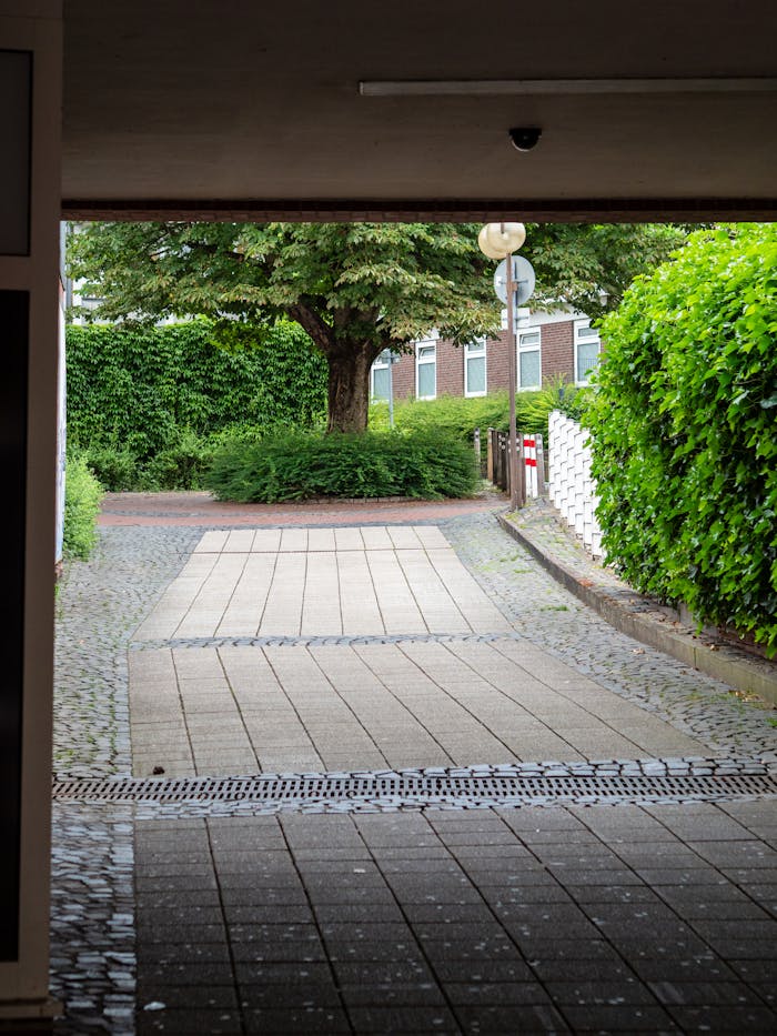 Serene alleyway framed by lush greenery and a large tree, ideal for tranquil moments.